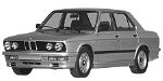 BMW E28 P289B Fault Code